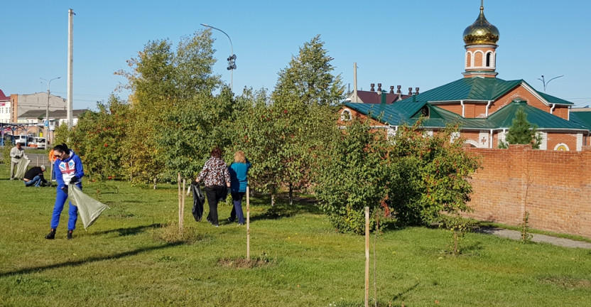 К 100-летию службы сотрудники Алтайкрайстата добавили чистоты на «аллее статистиков»